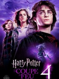 DVD Harry Potter Et La Coupe De Feu
