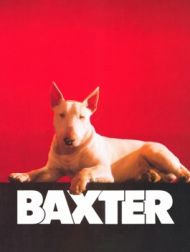 DVD Baxter