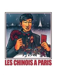DVD Les Chinois à Paris