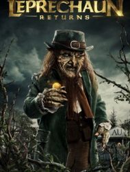 DVD Leprechaun Returns