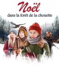 DVD Noël Dans La Forêt De La Chouette