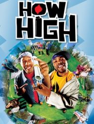 DVD Etudiants En Herbe! (How High)