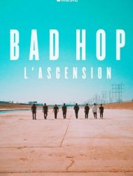 DVD BAD HOP : L’ascension
