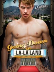 DVD Chute Libre De La Lune (Going Down In La La Land)