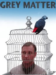 DVD Grey Matter