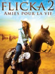DVD Flicka 2