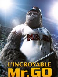 DVD L'incroyable Mr Go