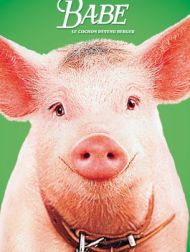 DVD Babe Le Cochon Devenu Berger