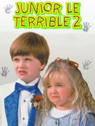 DVD Junior Le Terrible 2