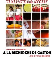 DVD À La Recherche De Gastón