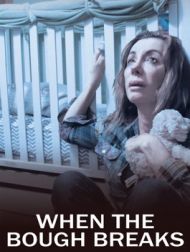 DVD When The Bough Breaks