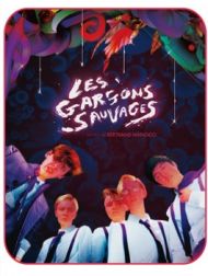 DVD Les Garçons Sauvages