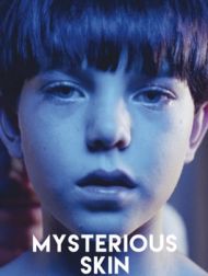 DVD Mysterious Skin