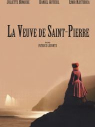 DVD La Veuve De Saint-Pierre