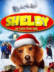 DVD Shelby Un Chien Pour Noël