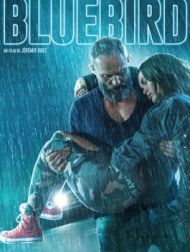 DVD Bluebird