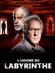 DVD L'homme Du Labyrinthe