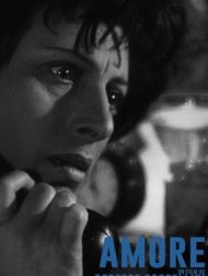 DVD Amore