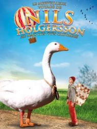 DVD Le Merveilleux Voyage De Nils Holgersson Au Pays Des Oies Sauvages