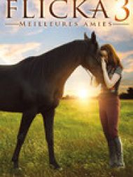 DVD Flicka 3