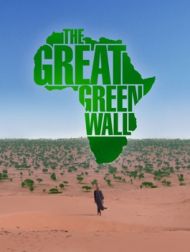 DVD The Great Green Wall