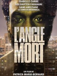 DVD L'angle Mort
