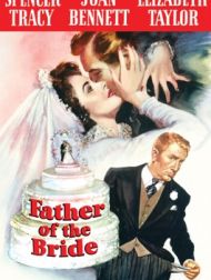 DVD Father Of The Bride