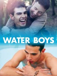 DVD Water Boys