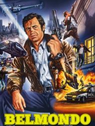 DVD Belmondo Ou Le Goût Du Risque