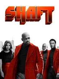 DVD Shaft (2019)