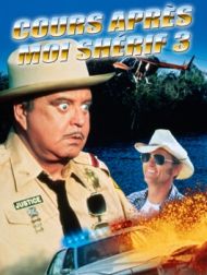 DVD Cours Après Moi Shérif 3