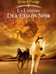 DVD La Légende de l'Etalon Noir