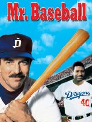 DVD Mr. Baseball