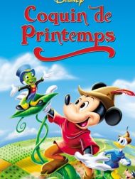 DVD Coquin De Printemps