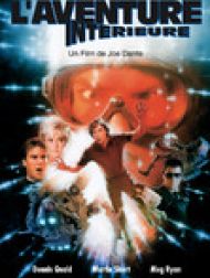 DVD L'aventure intérieure