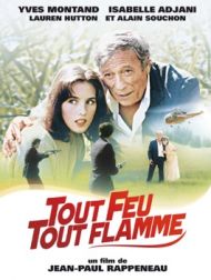 DVD Tout Feu Tout Flamme