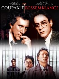 DVD Coupable Ressemblance