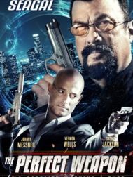 DVD The Perfect Weapon