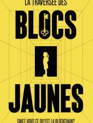 DVD La Traversée Des Blocs Jaunes