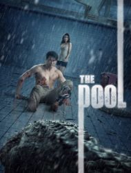 DVD The Pool
