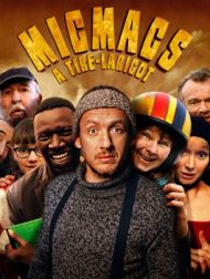 DVD Micmacs à Tire-larigot