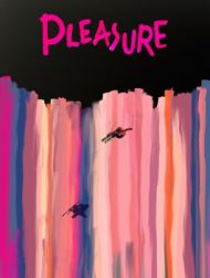 DVD Pleasure