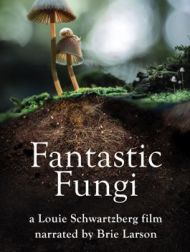 DVD Fantastic Fungi