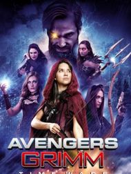 DVD Avengers Grimm: Time Wars