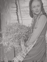 DVD Le 49e Parallèle