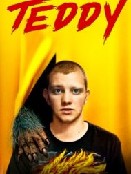 DVD Teddy