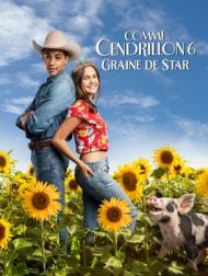 DVD Comme Cendrillon 6 : Graine De Star