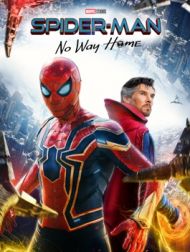 DVD Spider-Man : No Way Home