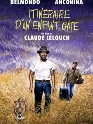 DVD Itinéraire D'un Enfant Gâté