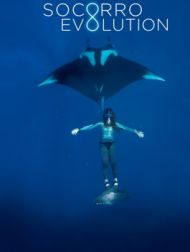 DVD Socorro Evolution